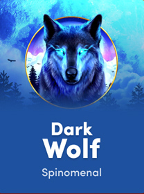 Dark Wolf Game: Provider, Fitur, dan Max Win